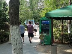 -合肥滨湖国家森林公园