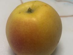 -果多美(纪家庙店)
