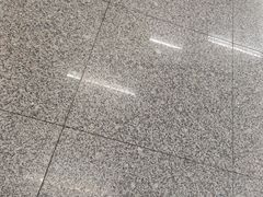 -深圳湾公园(南山区)