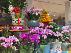 -沪花拾者(好再来花卉鲜花店)