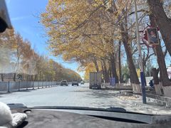 -尕胡才炕锅烤羊肉馆(八一路店)