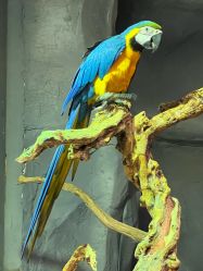 -Zoolung Zoolung动物主题公园(海信广场店)