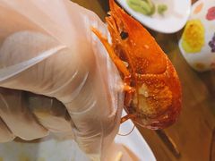-杨氏青龙虾·羊蝎子(托乐嘉店)
