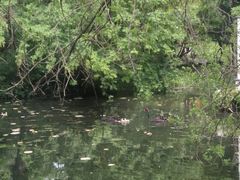 -九炉分座(五彩店)