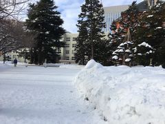 -北海道厅旧本厅舍(旧本庁舎)