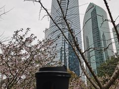 -陆家嘴中心绿地