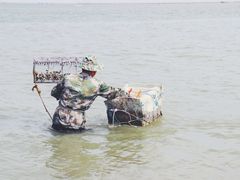 -北海金海湾红树林生态旅游区