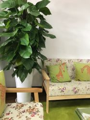 -爱尔乐美孕产瑜伽·普拉提