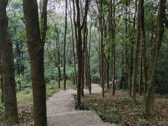 -广州市帽峰山景区