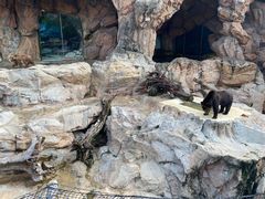 -珠海长隆海洋王国