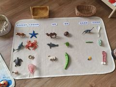 -七天萌宝·玛利娅蒙特梭利国际儿童之家(夏驾汇校区)