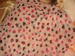 -荣耀金沙动物医院(清江西路店)