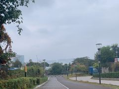 -立新湖公园