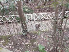 -上海吴淞炮台湾国家湿地公园