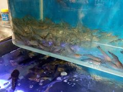 -盒马鲜生(悠方店)