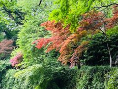 -虞山风景区