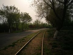 -永定河休闲森林公园