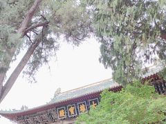 -报恩寺(平武县)