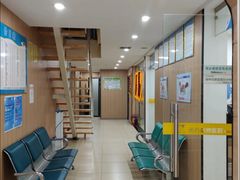 -米苏动物医院·犬猫专科·骨科外科内窥镜