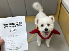 -美联众合动物医院·24h转诊中心