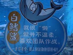 -烟台海昌鲸鲨海洋公园