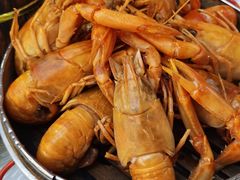 -怪怪龙虾·澳洲蓝龙王·深夜食堂(惊驾路店)