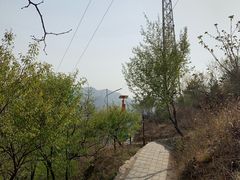 -大岭沟猕猴桃谷风景区