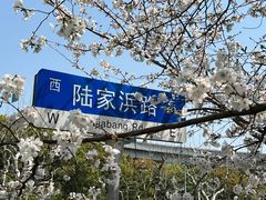 -南浦大桥长途旅游客运站
