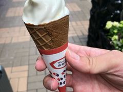 -富豪雪糕车流动点(尖沙咀店)