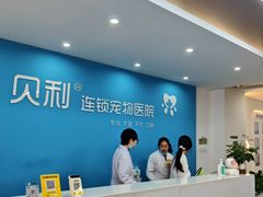 -贝利宠物医院·骨科·眼科·肿瘤转诊中心(南坪诊疗中心)