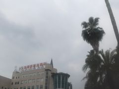 -圣爵菲斯大酒店(长沙世界之窗店)