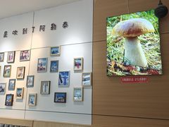 -蘑菇拌面•正宗新疆菜