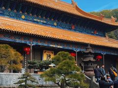 -普陀山风景名胜区-法雨禅寺