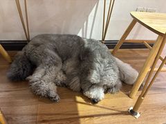 -沏点Trattoria意大利餐厅(新街口店)