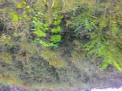 -焦作青龙峡风景名胜区