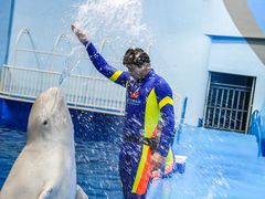 -福州罗源湾海洋世界旅游区