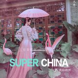 足以成为网红的国潮婚纱照