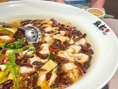 -麻都·成都菜(人民广场店)