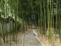 -柳侯公园