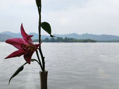 -柳莺湖上·湖景餐厅·江南菜(西湖店)