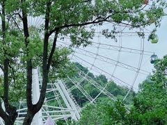 -温州乐园