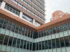 -香港大学