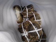 -蟹天蟹地农家菜·阳澄湖大闸蟹(浅水湾店)