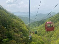 -王顺山国家森林公园