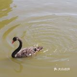 '福州植物园' '福州国家森林公园'  一大早来看到