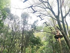 -WeLope紫金山探险公园