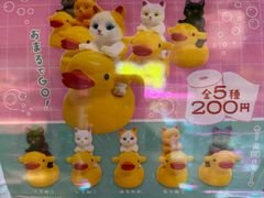 -DON DON DONKI(名珠城店)