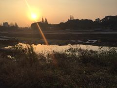 -长兴岛郊野公园农场食堂