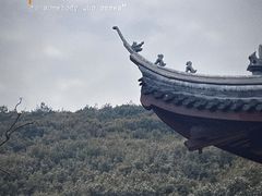 -龙寺生态园