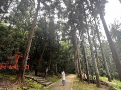 -奈良公园
